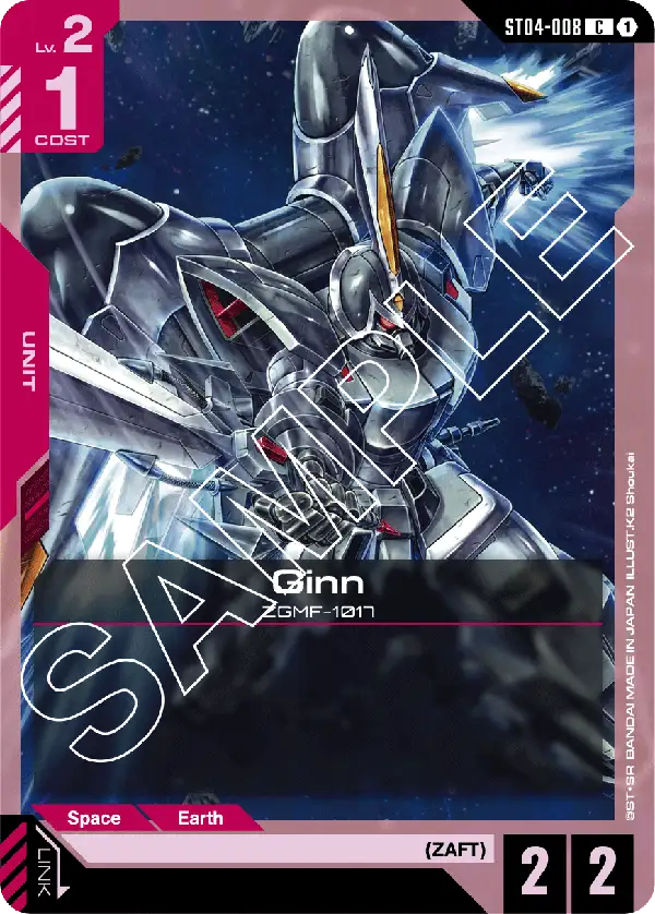 Ginn card